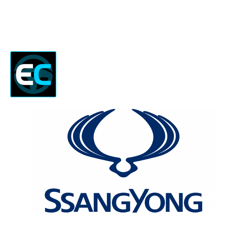 Certificato di conformità Ssangyong