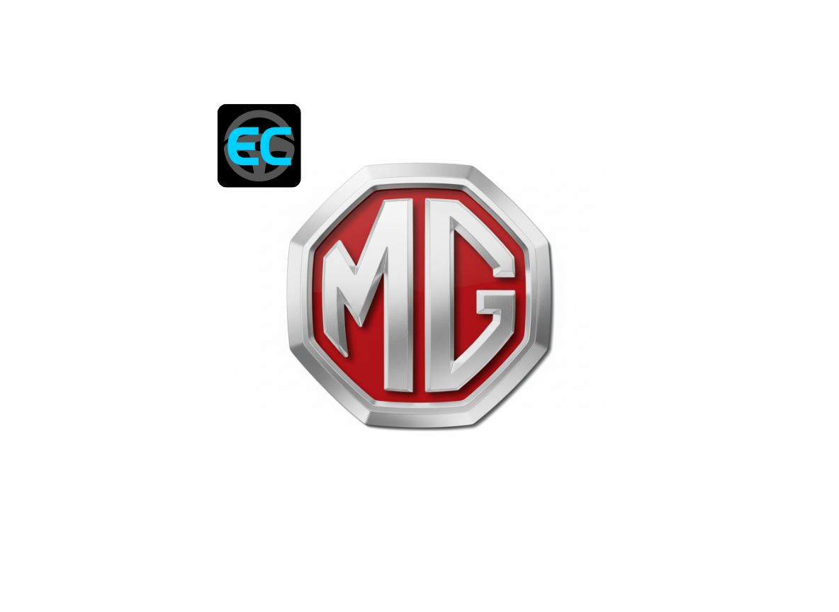 Certificado de Conformidade Europeia MG (COC)