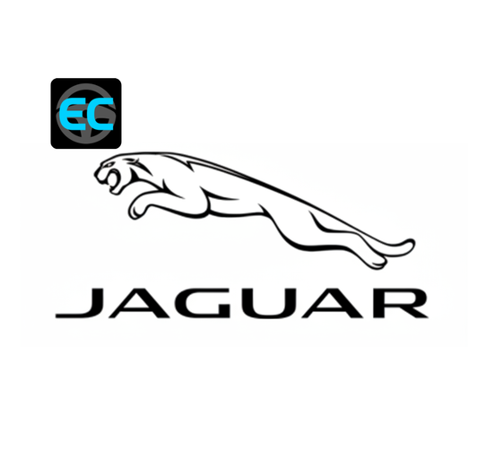 Certificato di conformità Jaguar